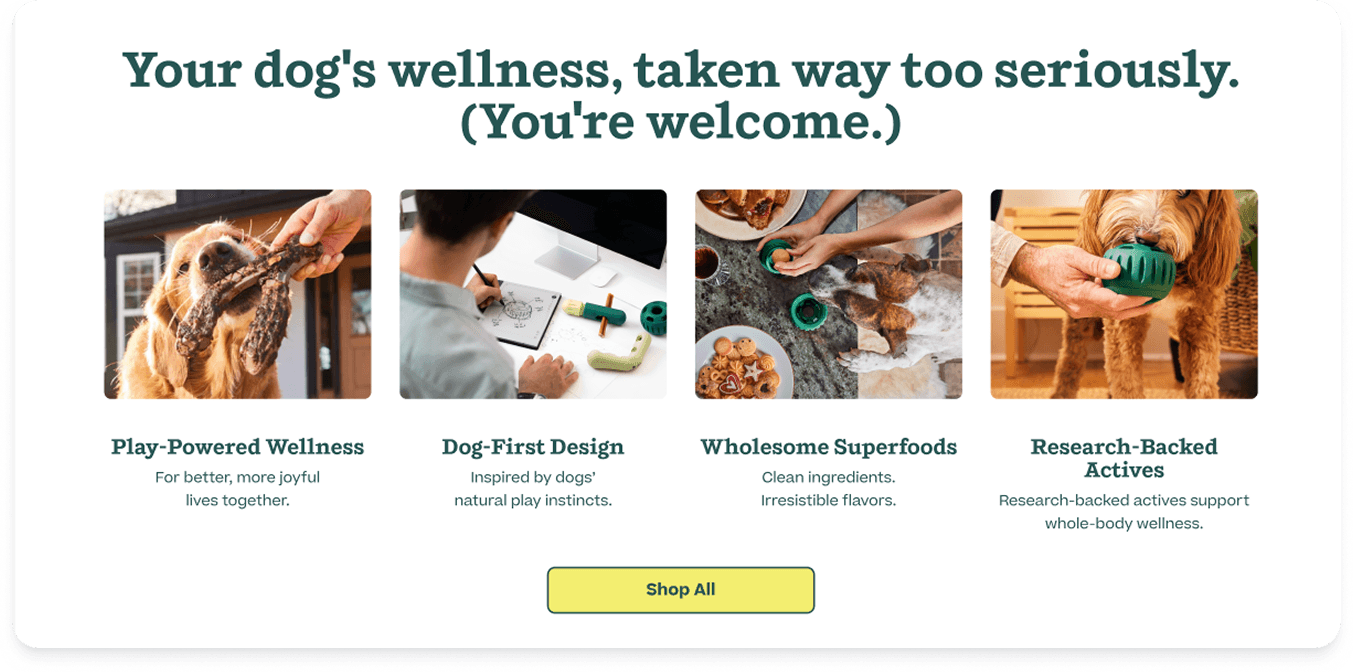 Your dog's wellness section with the four brand pillars